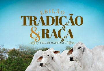 LEILÃO TRADIÇÃO & RAÇA